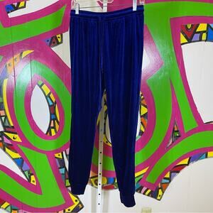 Royal Blue Velvety Joggers. Size Large. In excellent condition! Very Soft